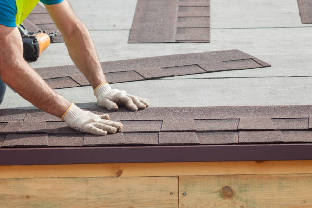 Best Asphalt Shingle Roofing  in Pandora, OH